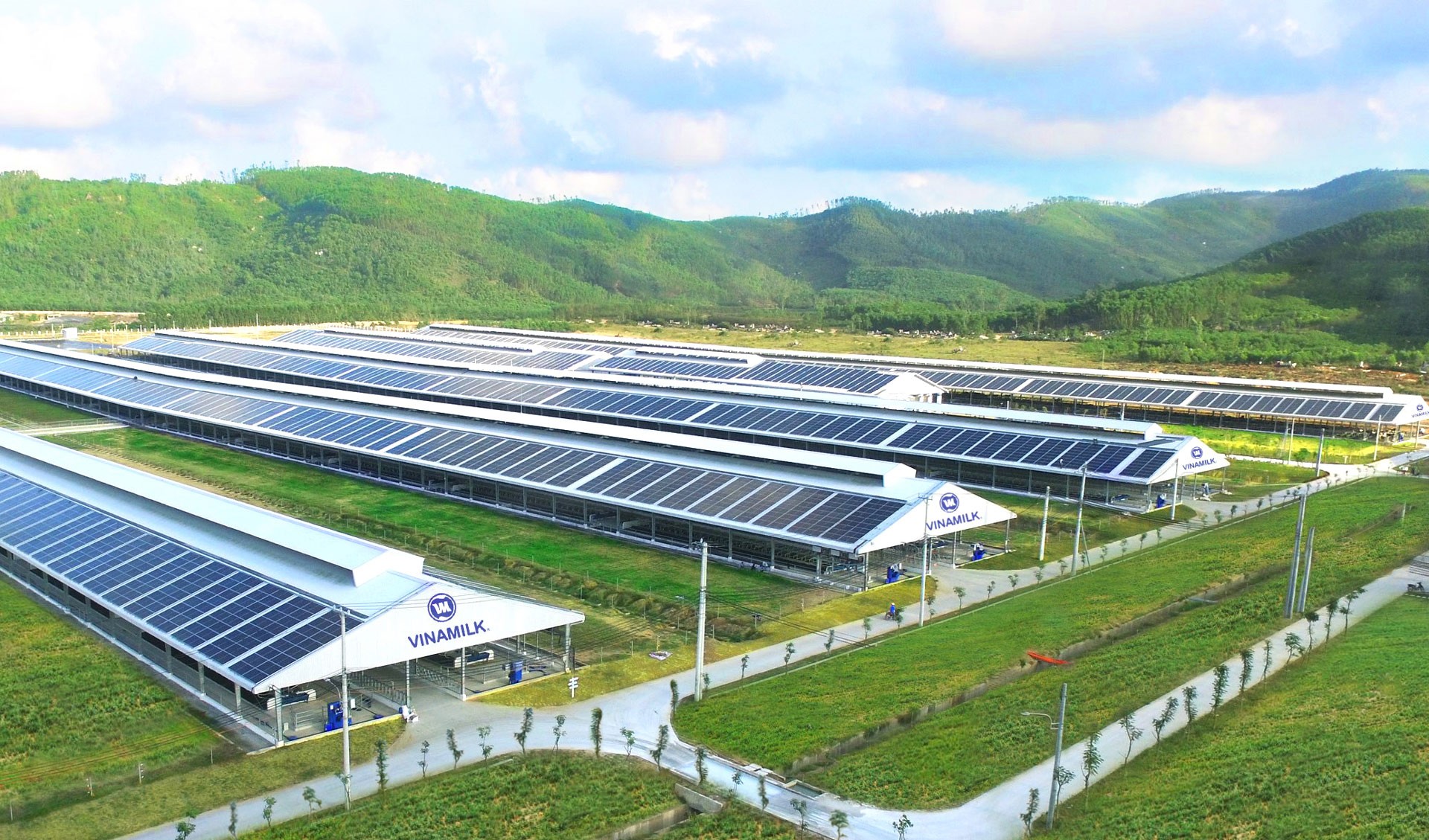 Doanh thu của Vinamilk đạt mức cao kỉ lục trong lịch sử doanh nghiệp khi chạm mốc 60.919 tỷ đồng