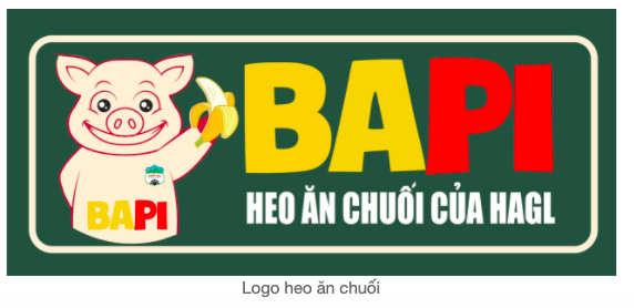 
Logo heo ăn chuôi của Hoàng Anh Gia Lai
