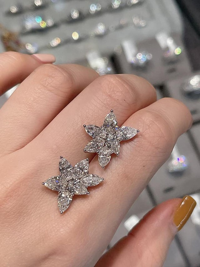 
Đôi hoa tai đính kim cương vô cùng đắt tiền.
