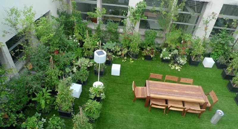 Tổng hợp 10 mẫu thiết kế vườn trên sân thượng độc đáo nhất - ảnh 4