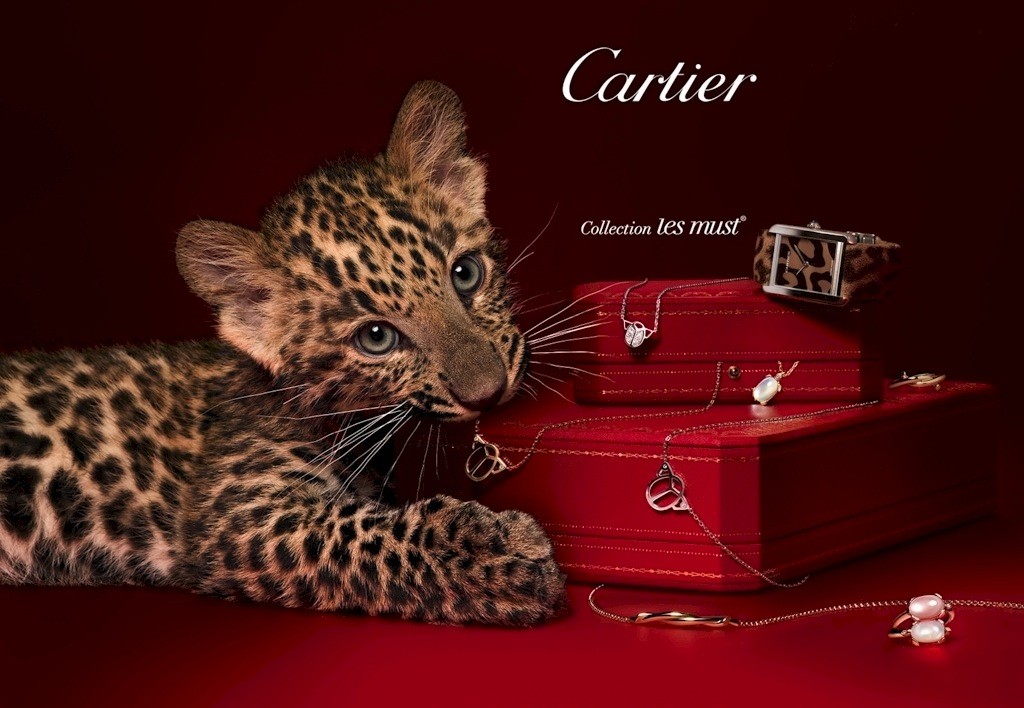 
Cartier đã có một năm kinh doanh thành công rực rỡ với BST Sixième Sens par Cartier. Bộ sưu tập này lấy nguồn cảm hứng từ loài báo hoang dã.
