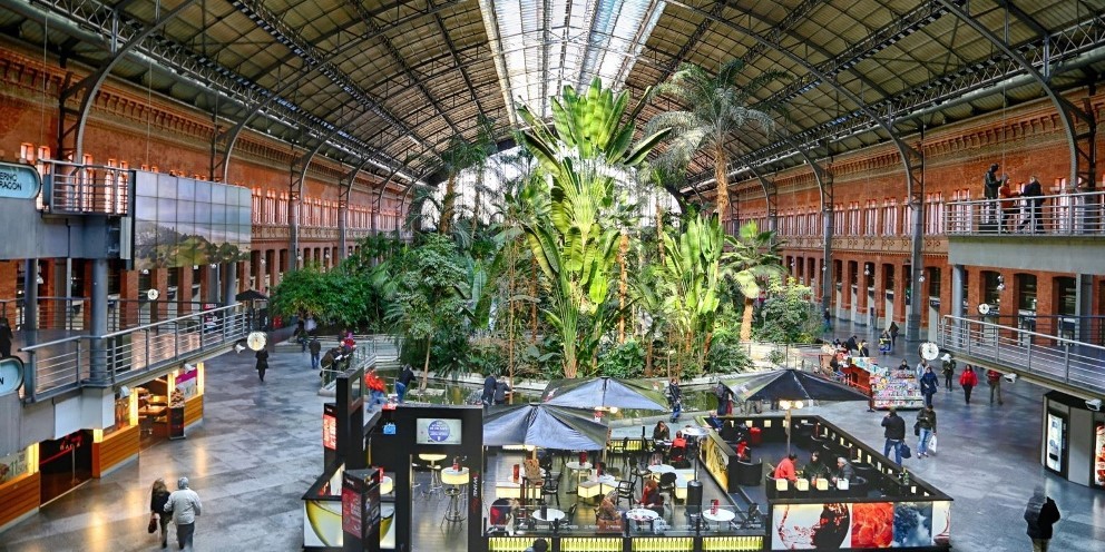
Nhà ga Atocha đem lại lợi ích lớn cho môi trường tự nhiên khi gìn giữ và phát triển tốt hệ sinh thái xanh ở đây
