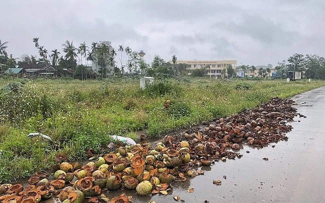 
116 lô đất tại Dự án Hệ thống hạ tầng kỹ thuật khu dân cư trục đường Bàu Giang - Cầu Mới vẫn ế khách
