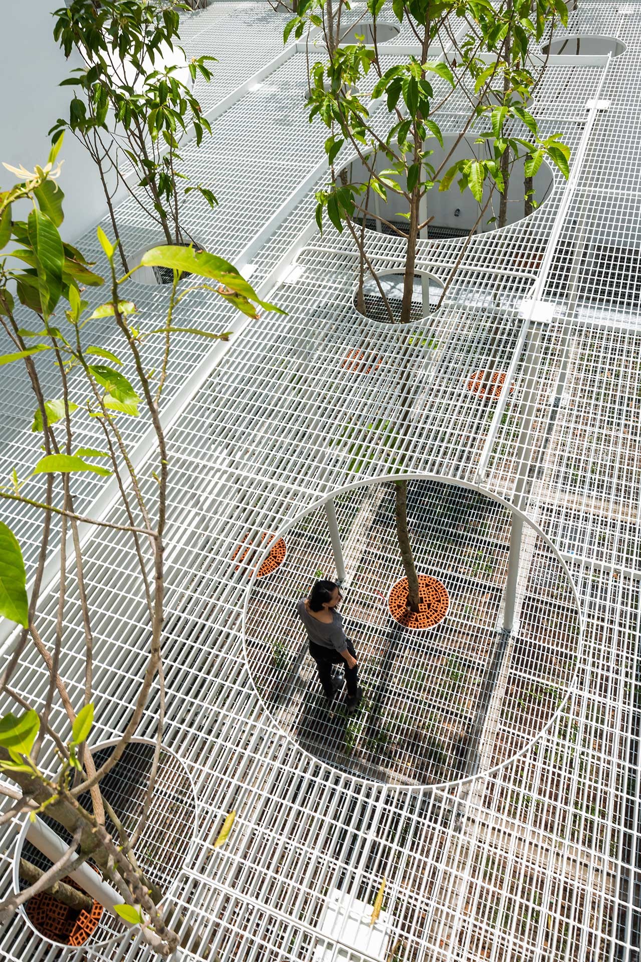 

Hệ thống lưới thép với các khoảng trống tạo điều kiện để cây xanh sinh trưởng
