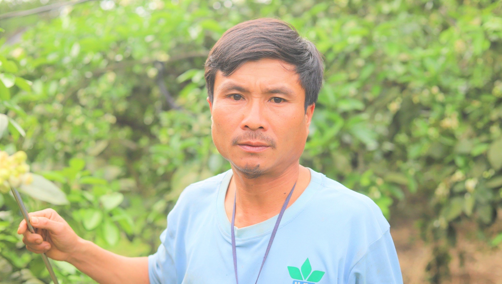 
Anh Nguyễn Văn Tuấn chủ trang trại bưởi Phúc Trạch tại Hương Khê, Hà Tĩnh
