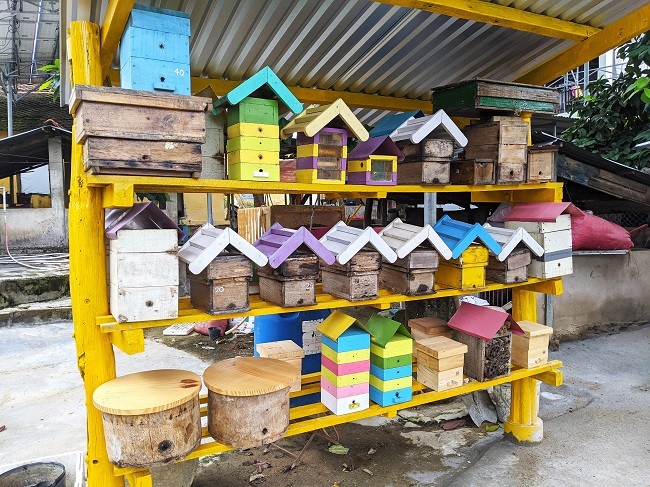 
Theo anh Nguyễn Hữu Trực, việc tách đàn ong dú để gây giống là khá dễ. Mỗi tổ ong trưởng thành sau 1 tháng có thể tách đàn 1 lần
