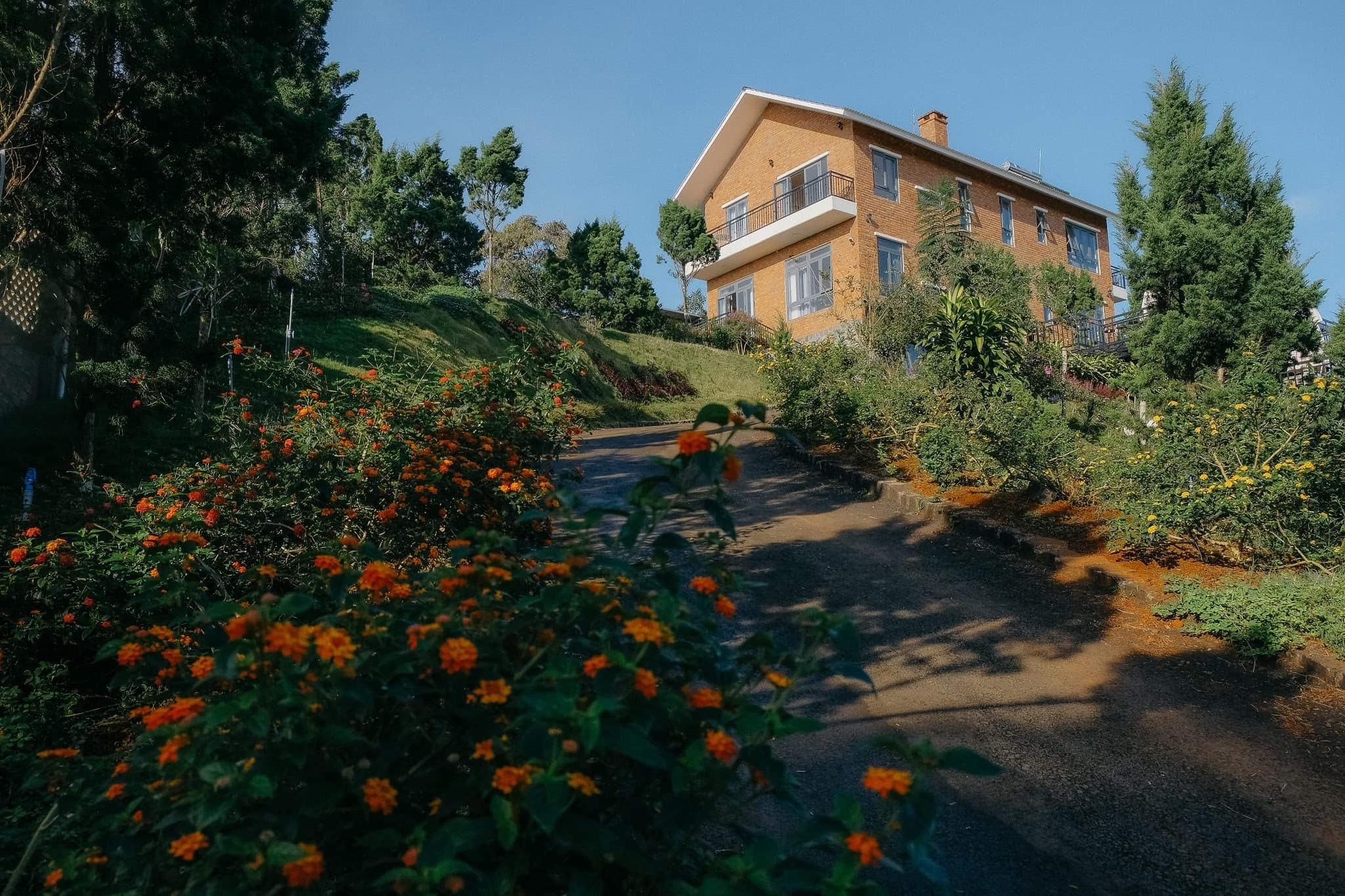 
Ngôi nhà ở phố núi, lấp ló sau những rặng tùng xanh và ngàn hoa nở rộ bốn mùa
