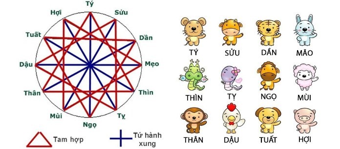 
Tuổi Quý Mùi sẽ tương hợp với những tuổi Ất Dậu, Quý Mùi, Đinh Hợi
