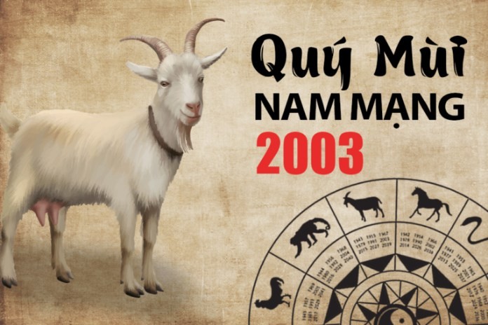 
Tử vi tuổi Quý Mùi 2003 nam mạng trong năm 2022
