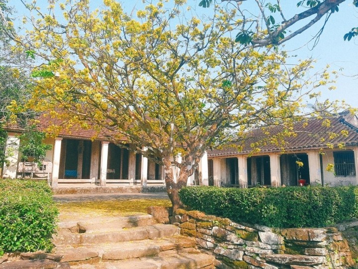 

Làng Lộc Yên có đến 8 ngôi nhà cổ tồn tại với tuổi đời từ 100 - 150 năm
