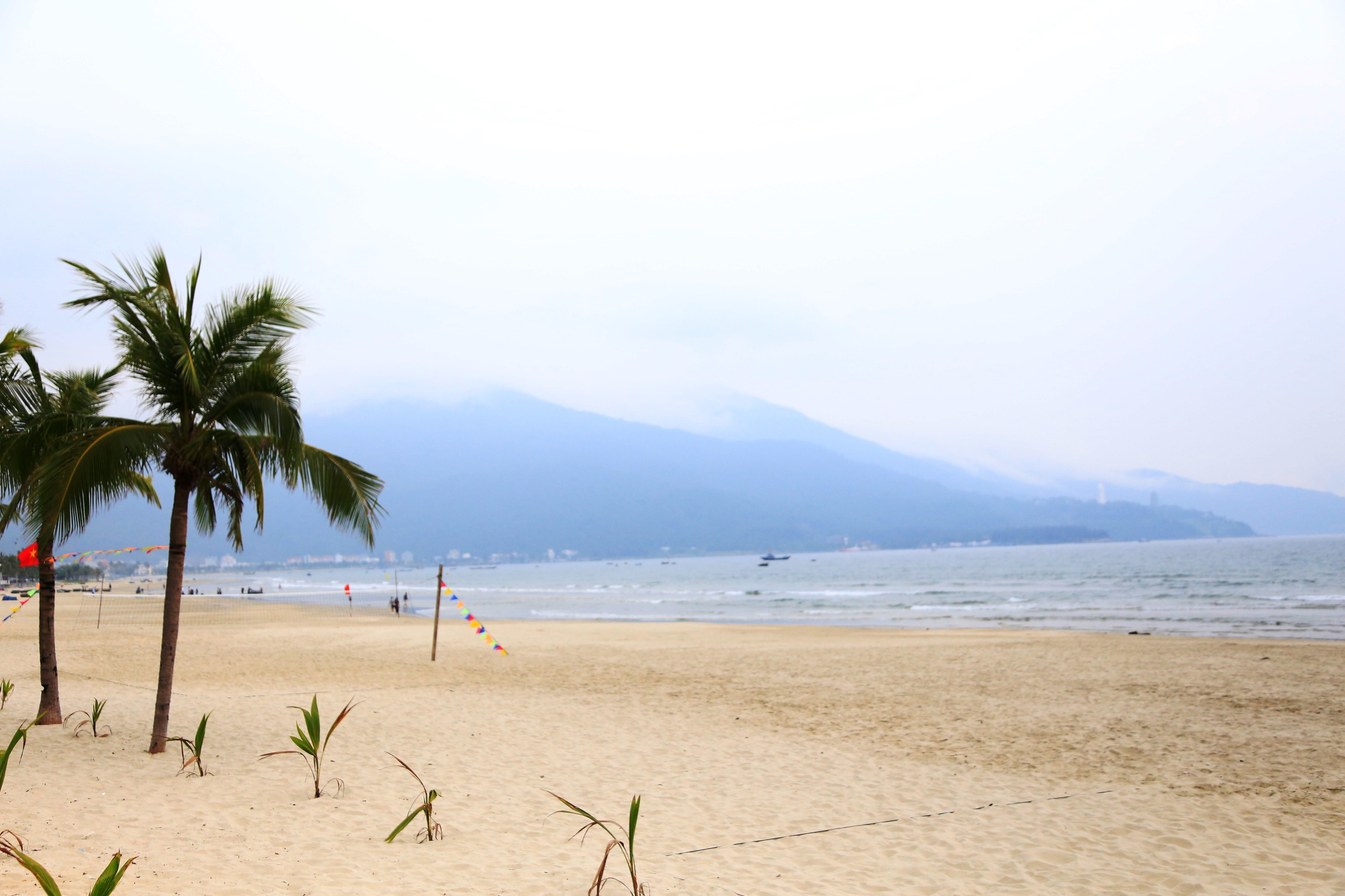 
Bãi biển trải dài dọc bán đảo Sơn Trà trước đây luôn đông khách thì giờ thưa vắng dù bắt đầu vào mùa du lịch
