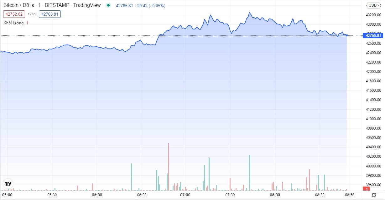 
Giá Bitcoin hôm nay cập nhật lúc 8h50' ngày 24/3. Nguồn: TradingView
