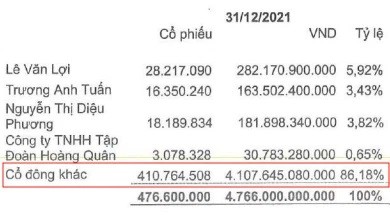 
Ban lãnh đạo từng thoái vốn mạnh trước khi nhóm Louis nhảy vào
