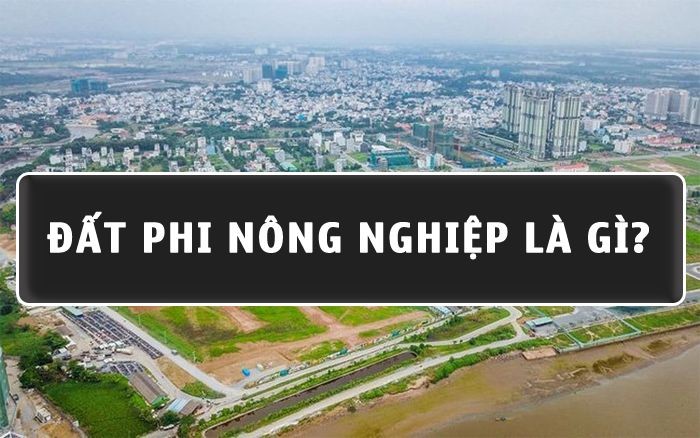 
Đất phi nông nghiệp là loại đất không sử dụng với mục đích làm nông nghiệp&nbsp;
