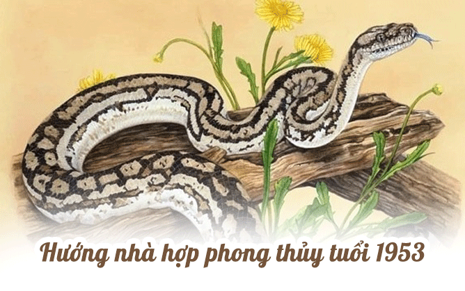 Chọn hướng nhà tuổi Quý Tỵ 1953 hợp Phong Thủy và những Lưu Ý - ảnh 1