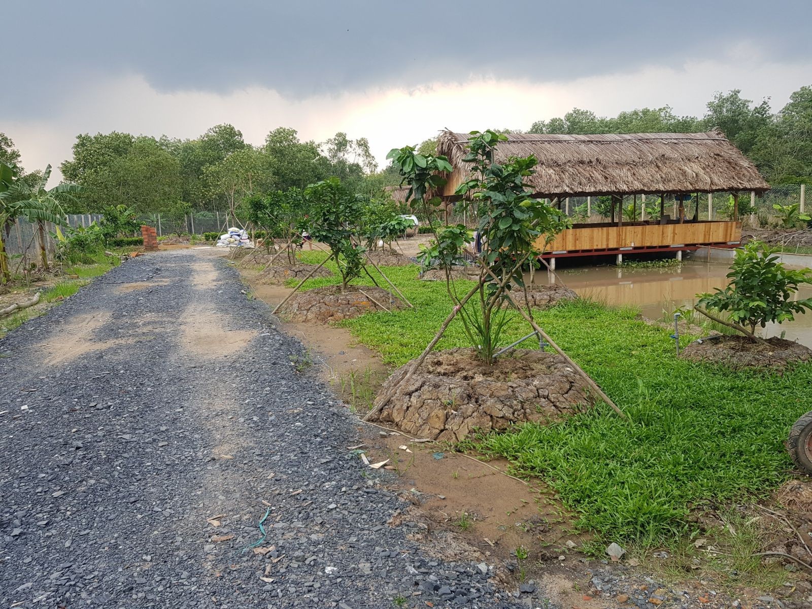 
Những mảnh đất vài héc ta có view đồi núi được nhà đầu tư vào mua và tạo nên cơn sốt giá chóng mặt trong thời gian qua
