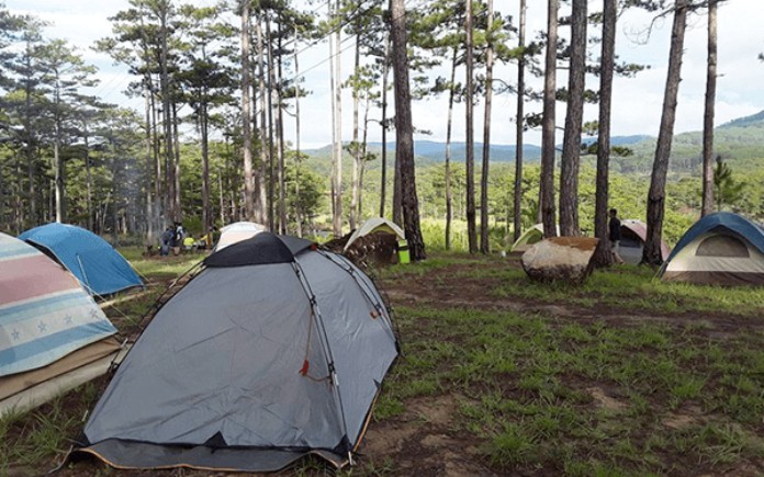 



Zoodoo Camping là địa điểm lý tưởng cho du khách

