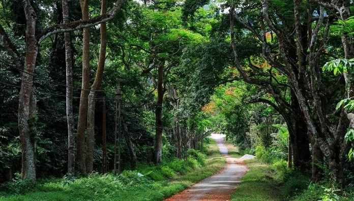 
Hoà mình với thiên nhiên khi về đến Ba Vì Hà Nội
