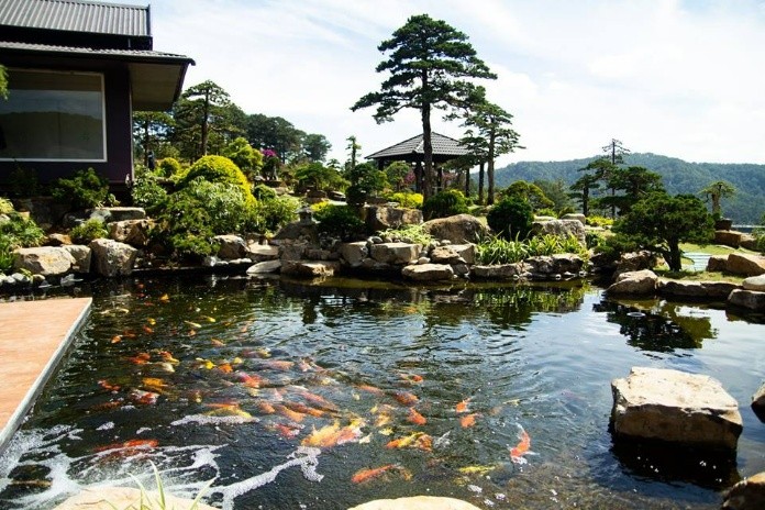 
Hồ cá Koi thiết kế theo tiêu chuẩn Nhật Bản trong QUE Garden
