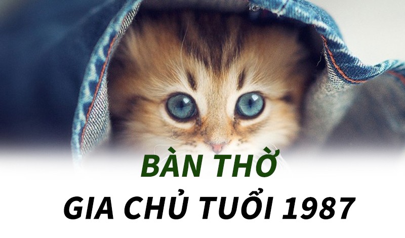 
Hướng đặt bàn thờ tuổi Đinh Mão 1987 cần phù hợp theo phong thủy
