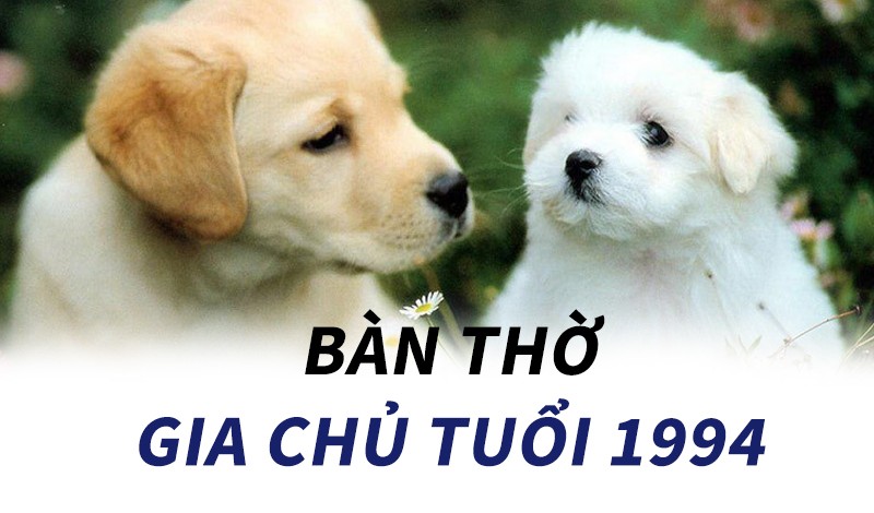 
Tuổi Giáp Tuất 1994 cần chọn lựa hướng, vị trí bàn thờ phù hợp
