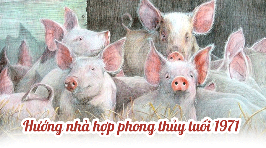 Chọn hướng nhà tuổi Tân Hợi 1971  hợp Phong Thủy và những Lưu Ý - ảnh 1