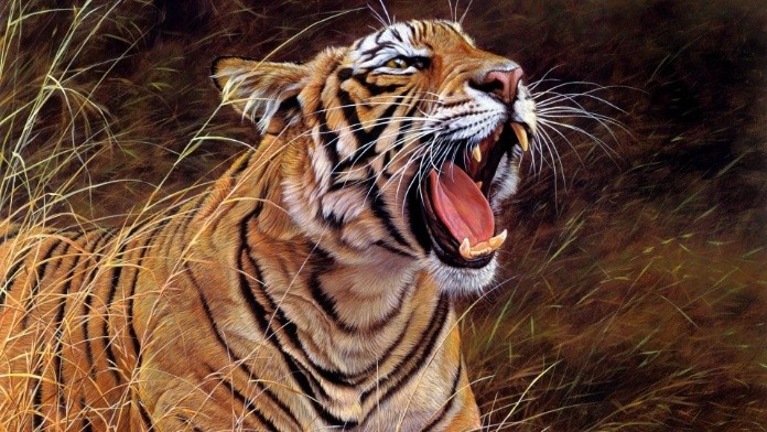 
Người cầm tinh con hổ cũng mang trong mình bản năng hoang dã và nổi loạn

