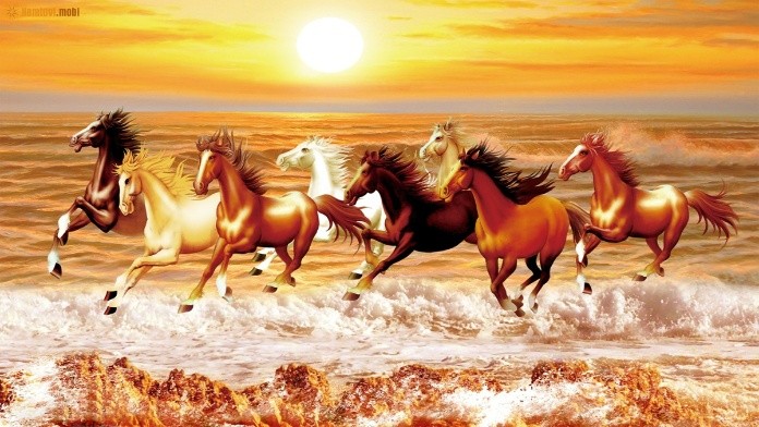 
Tính cách người tuổi Ngọ ra sao?
