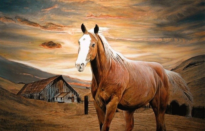 
Tuổi Ngọ - tuổi ưa xê dịch
