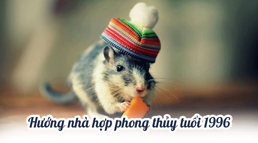 Chọn hướng nhà tuổi Bính Tý 1996  hợp Phong Thủy và những Lưu Ý - ảnh 1