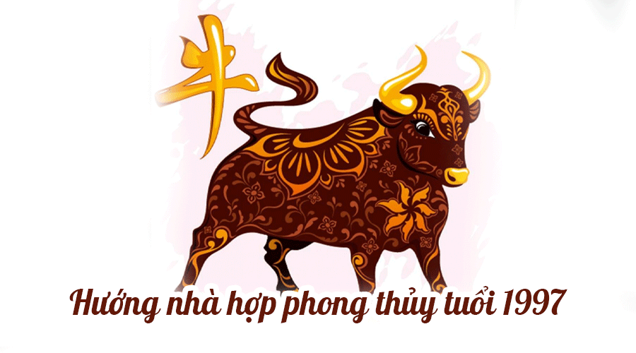 Chọn hướng nhà tuổi Đinh Sửu 1997 hợp Phong Thủy và những Lưu Ý - ảnh 1