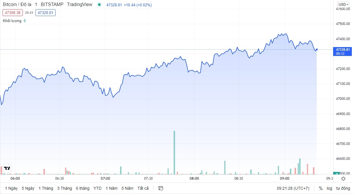 Giá Bitcoin hôm nay ổn định ở mức trên 47.000 USD. Đồ thị TradingView