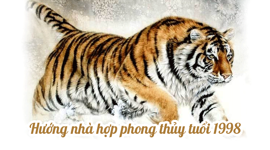 Chọn hướng nhà tuổi Mậu Dần 1998  hợp Phong Thủy và những Lưu Ý - ảnh 1