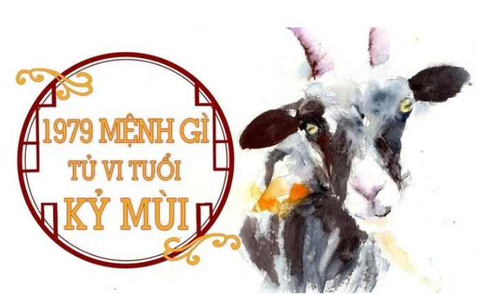 Màu sắc tương hợp với những người tuổi Kỷ Mùi 1979 là gì? 