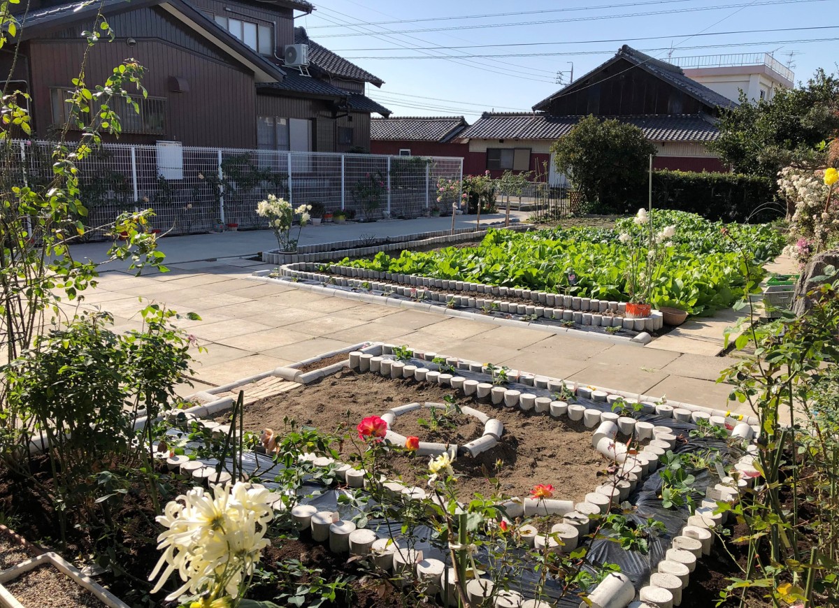 
Khu vườn nhà chị Liễu vào năm 2019, khi các cây hồng trong vườn đều nhỏ và số lượng ít
