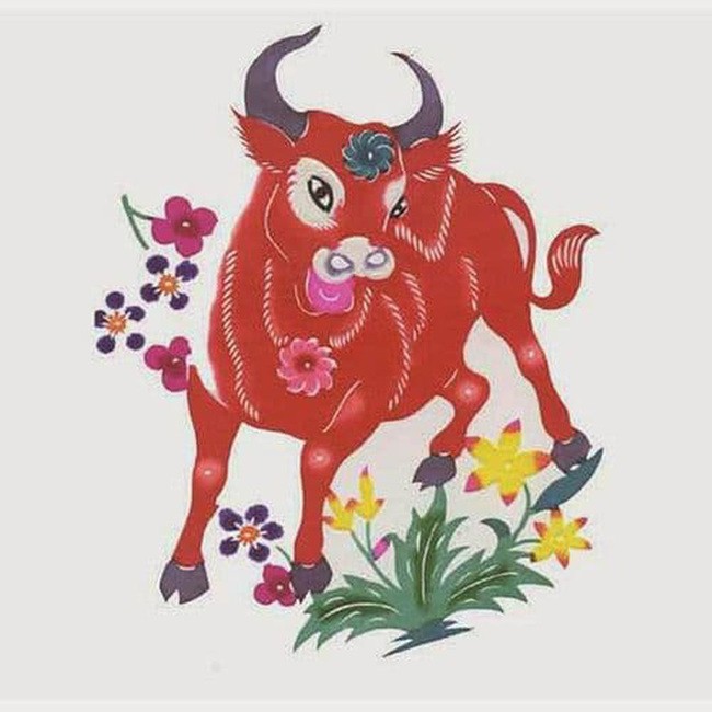 
Nam Quý Sửu 1973 kết hôn với nữ Ất Mão 1975 sẽ có cuộc sống hôn nhân viên mãn.
