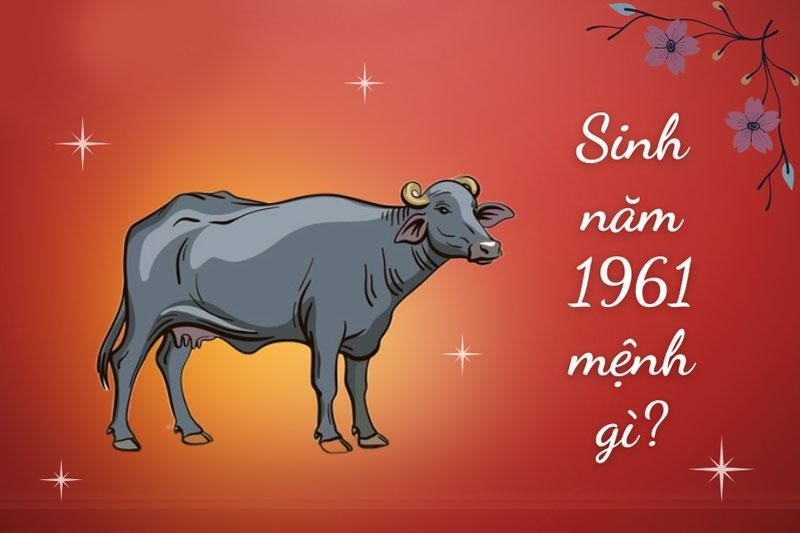 Tuổi Tân Sửu 1961 thuộc mệnh Thổ