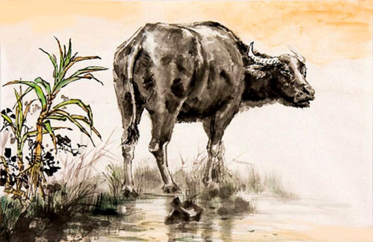 Tổng quan thông tin về người sinh năm 1961