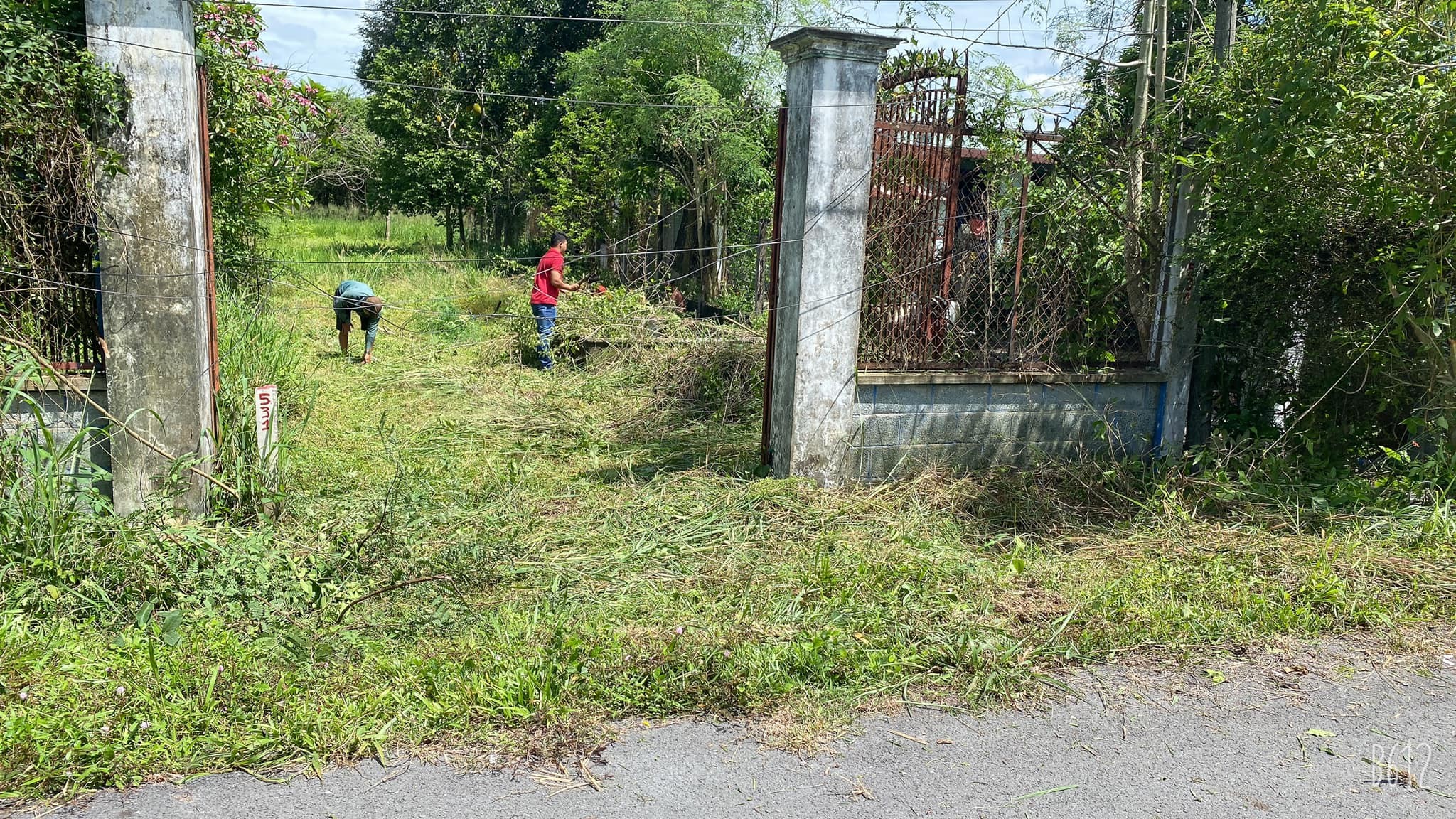 
Một lô đất có diện tích ở xã Phạm Văn Cội (Củ Chi) đã&nbsp; tăng giá hơn 100 triệu đồng chỉ sau vài ngày
