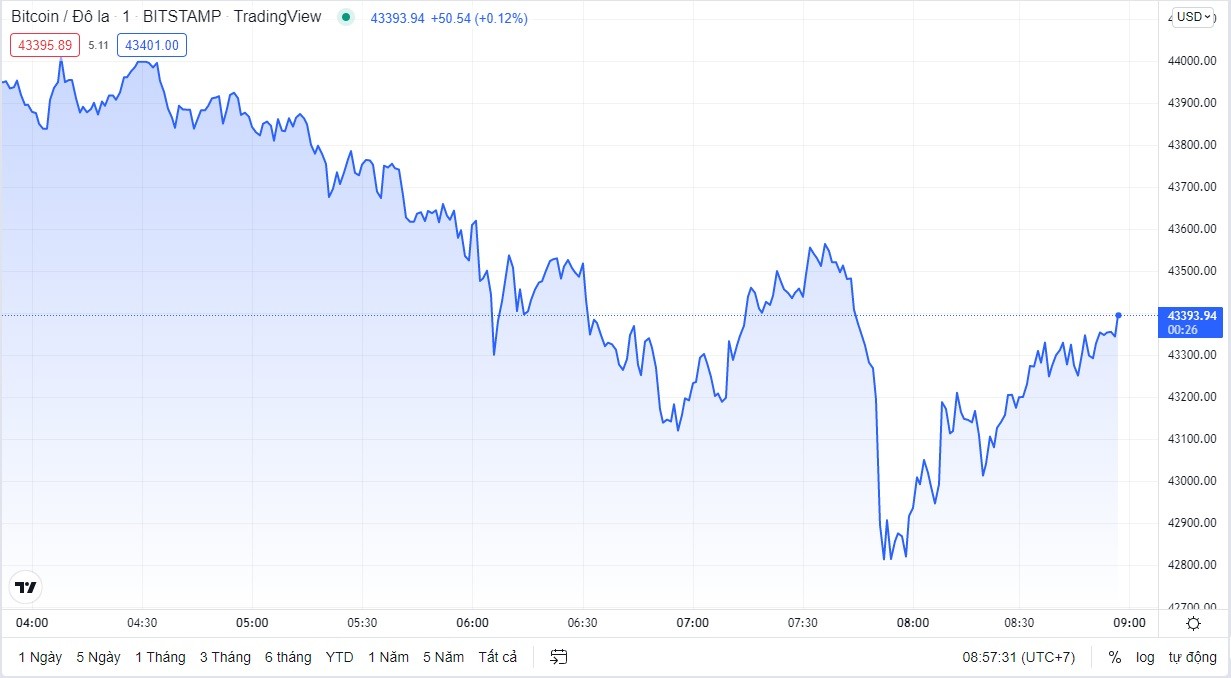 
Giá Bitcoin hôm nay cập nhất lúc 8h57' ngày 7/4. Nguồn TradingView
