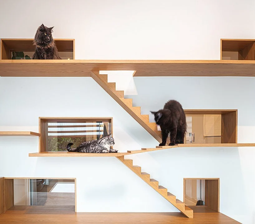 
Ngôi nhà nhỏ được xây riêng cho những chú mèo cưng của gia đình
