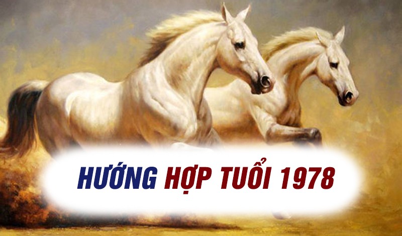 
Tầm quan trọng của chọn hướng trong phong thuỷ với người tuổi Mậu Ngọ 1978
