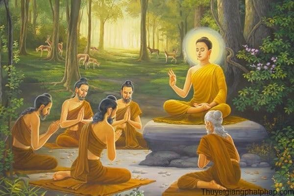 
Trong Phật giáo có dạy rằng "nguồn cội của mọi khổ đau ở trên đời đều đến từ tham - sân - si" mà ra, trong đó, tham là đứng hàng đầu
