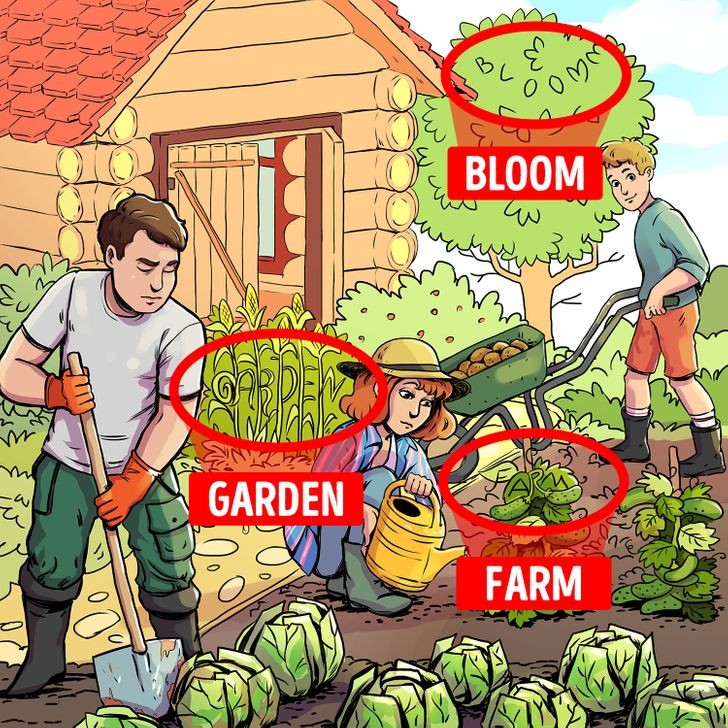 
Đáp án chính là: Garden, Bloom và Farm.
