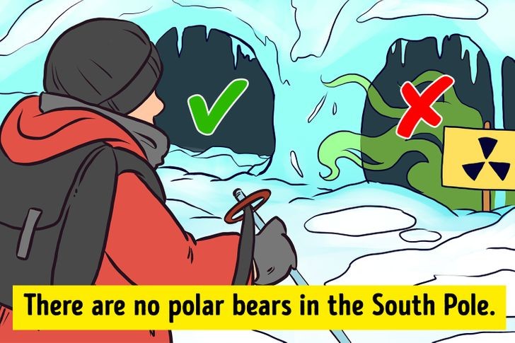 
Để sống sót, anh ta nên chọn hang động số 1. Vì đã gọi là gấu Bắc Cực thì làm sao mà ở Nam Cực được nhỉ?
