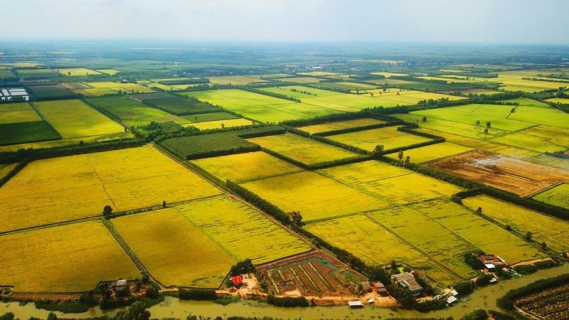 
Không ít người lựa chọn mua đất nông nghiệp làm lĩnh vực đầu tư bất động sản
