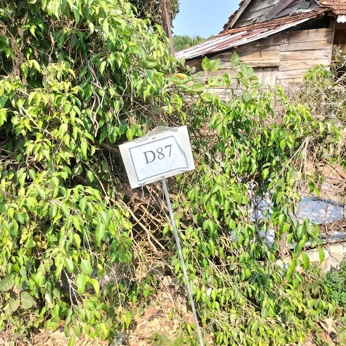 
Hiện nay trên địa bàn xã Hòa An, huyện Krông Pắk đã xuất hiện một số đối tượng chưa rõ lai lịch tự ý cắm các bảng quy hoạch giả dọc một số tuyến đường nhằm mục đích tung tin đồn về quy hoạch để thổi giá đất trục lợi
