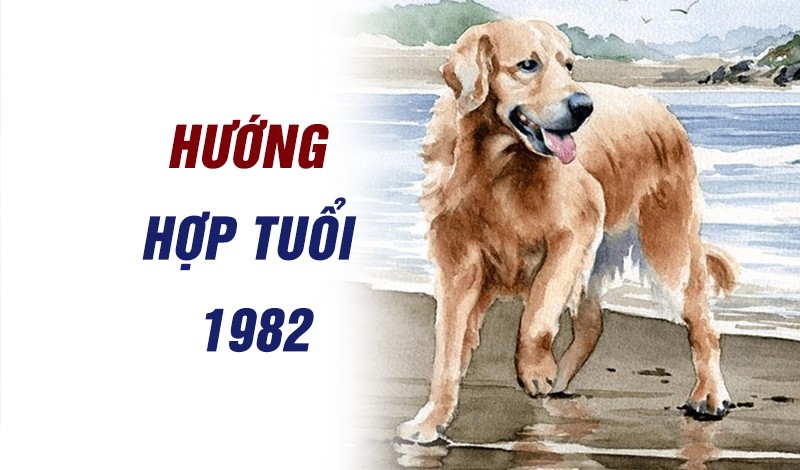 
Tầm quan trọng của chọn hướng trong phong thuỷ với người tuổi Nhâm Tuất 1982
