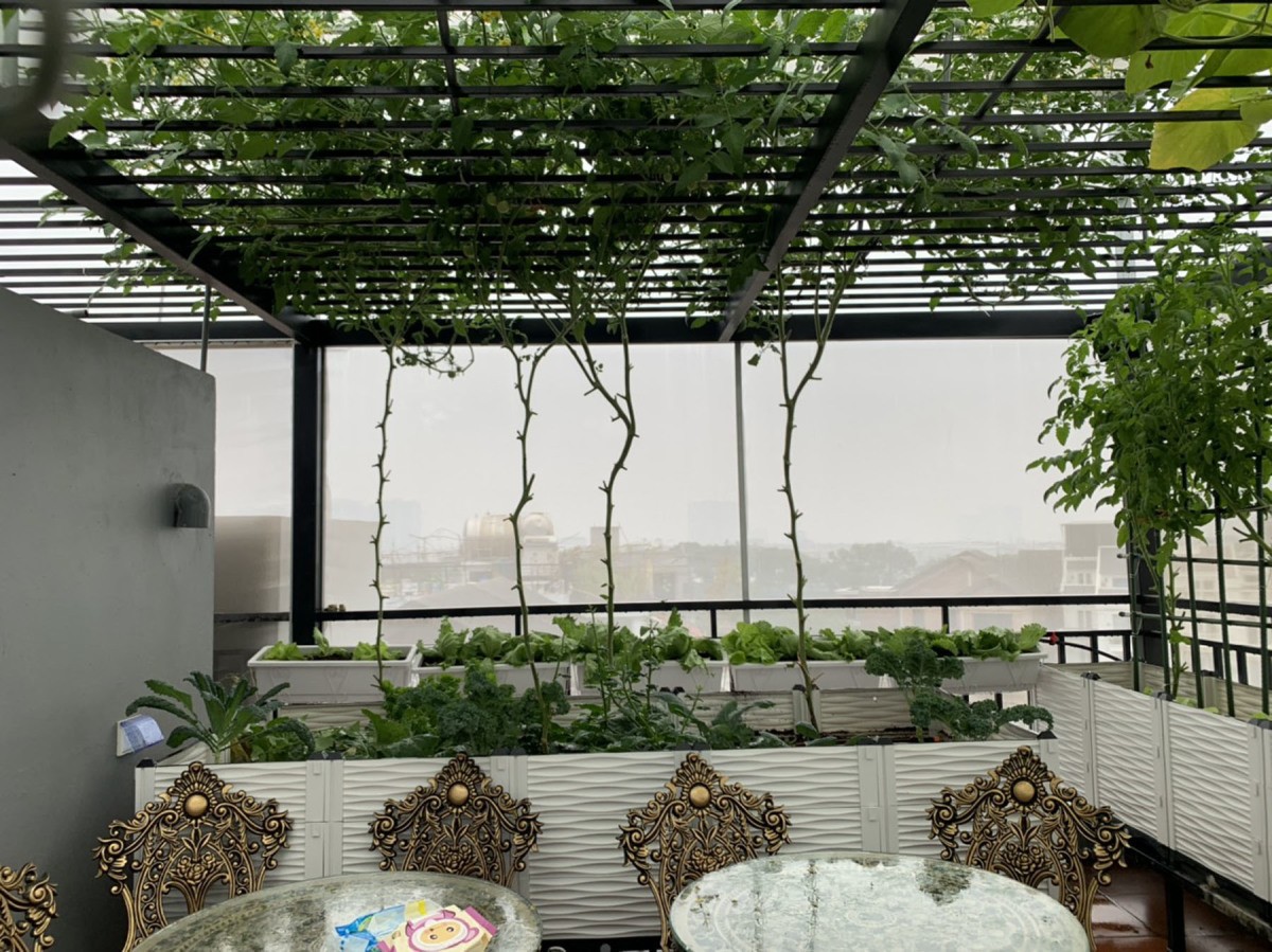 
Giữa vườn trên sân thượng có cả bàn ghế để nghỉ ngơi, thư giãn, ngắm cảnh sân vườn và thành phố
