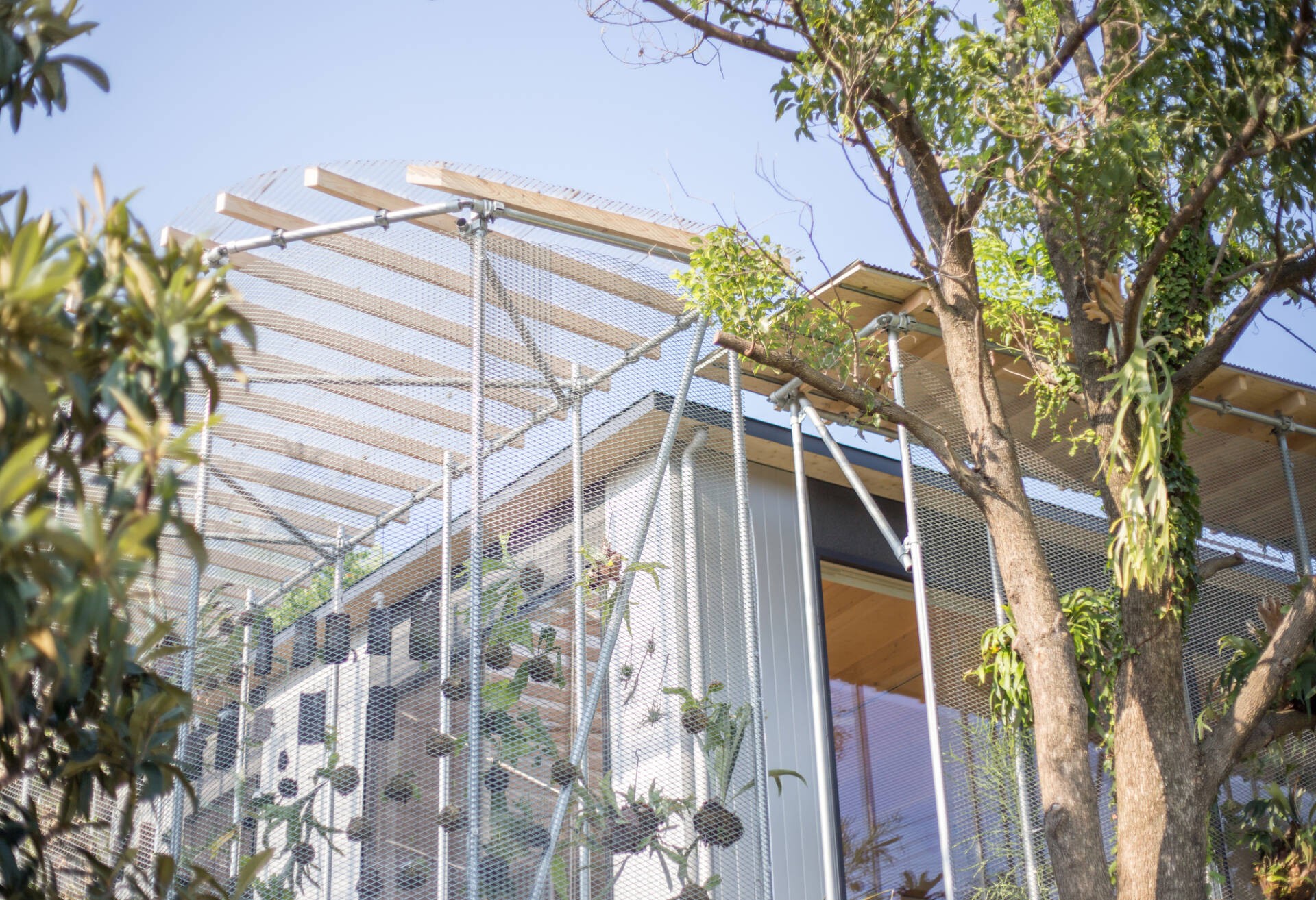 
Phần mái nhà kính được làm từ chất liệu trong giúp cho ánh nắng chiếu qua, phù hợp với các loại cây trồng nhiệt đới
